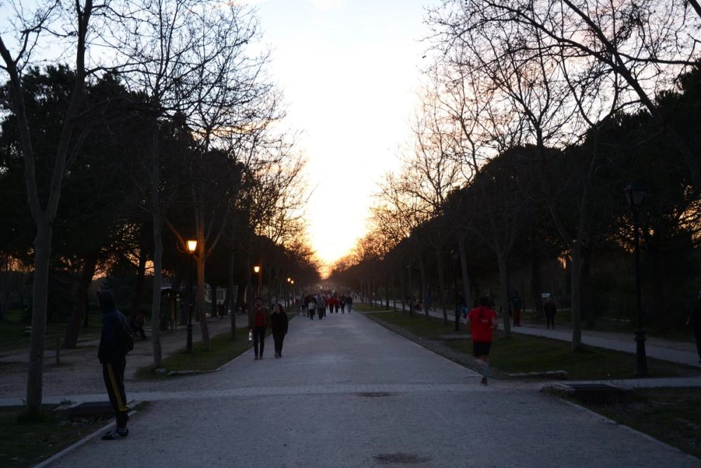 Parque Polvoranca (Leganes) 18-03-2017