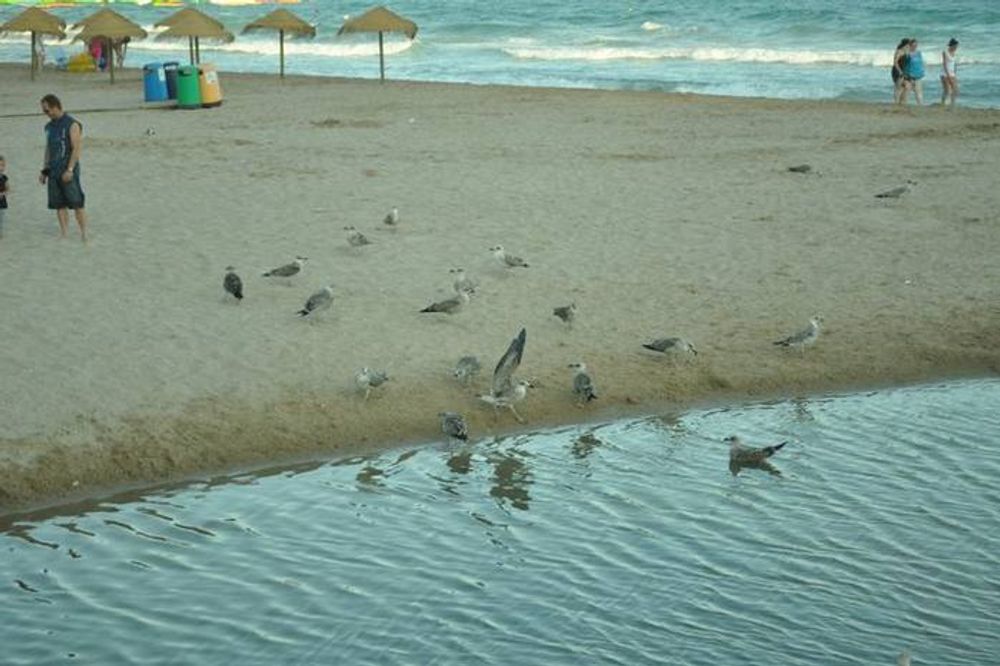 Calpe 2011