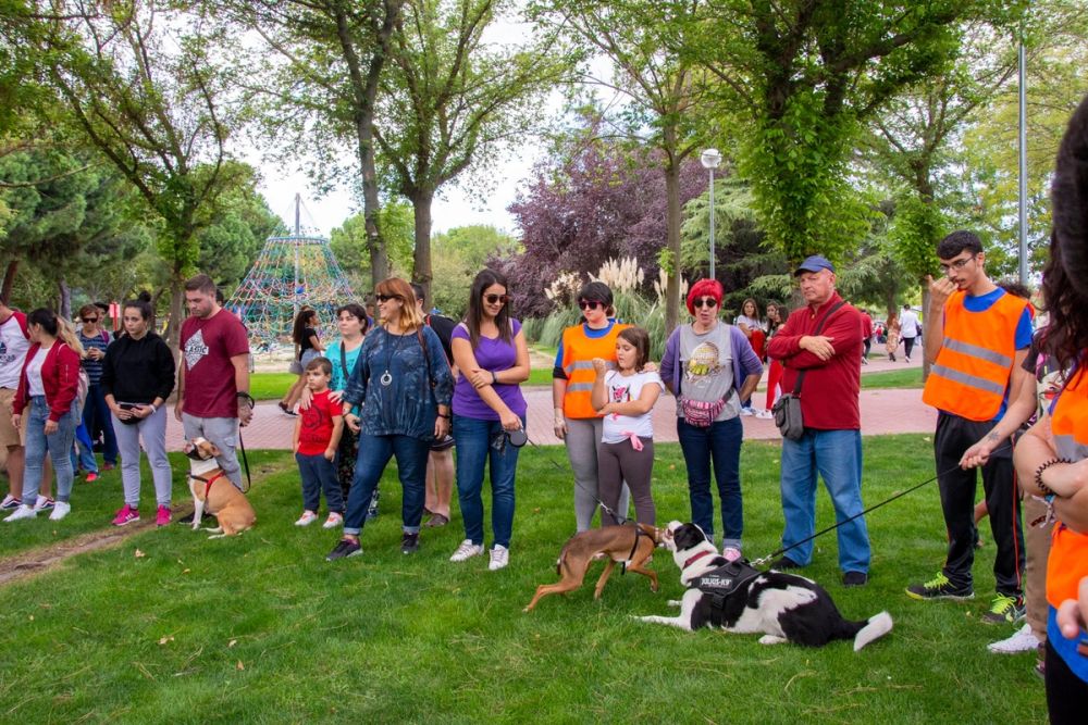 IV Ruta canina en Leganes 22-09-2019