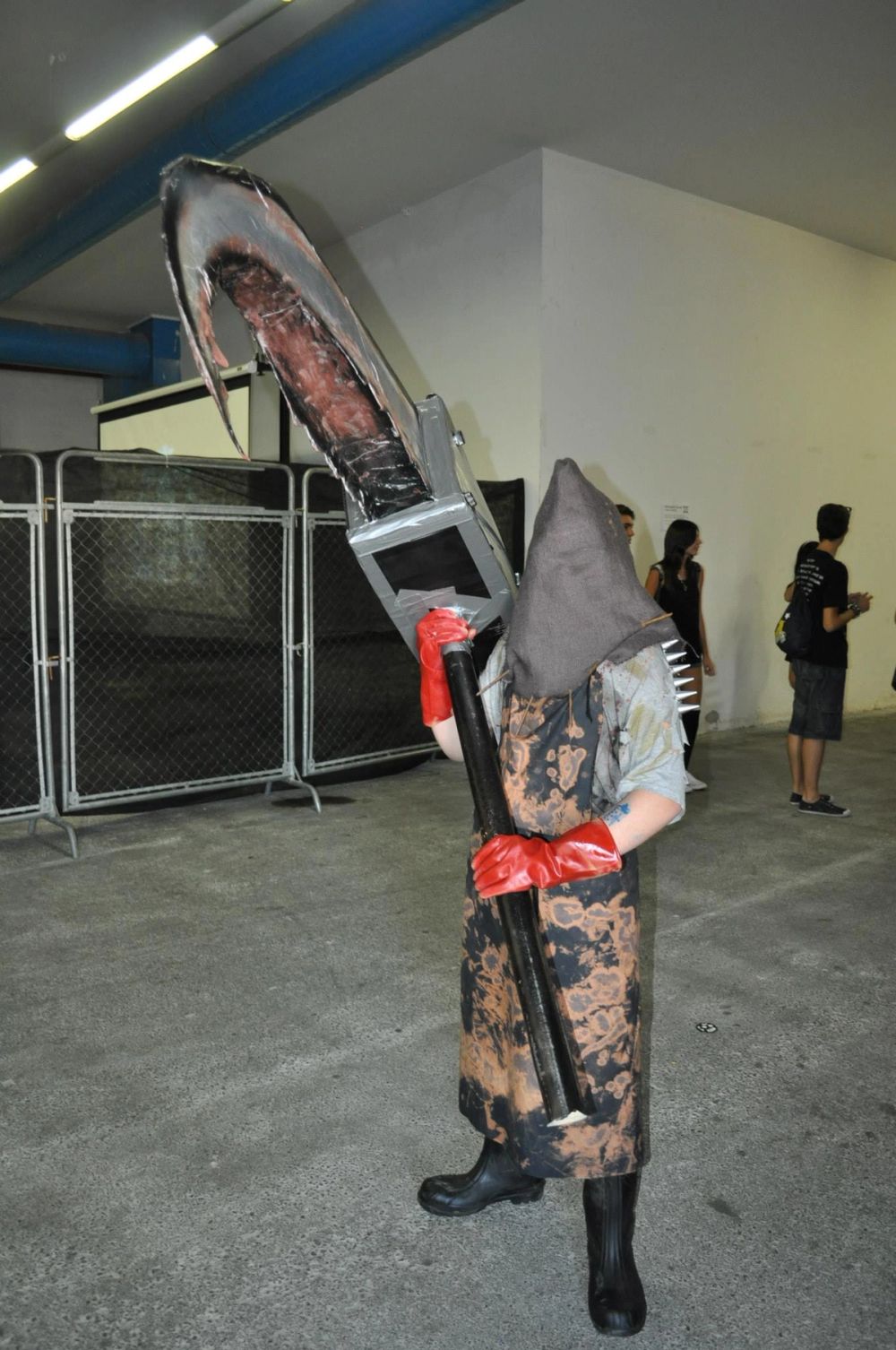 Japan Weekend 2013