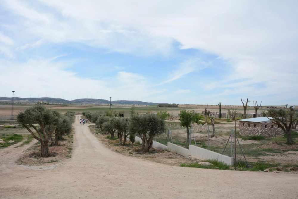 Romeria de Lillo 2017