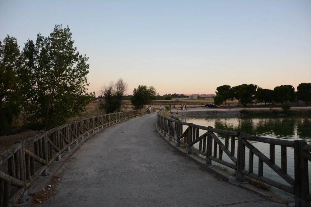 Parque Polvoranca (Leganes) 20-08-2017