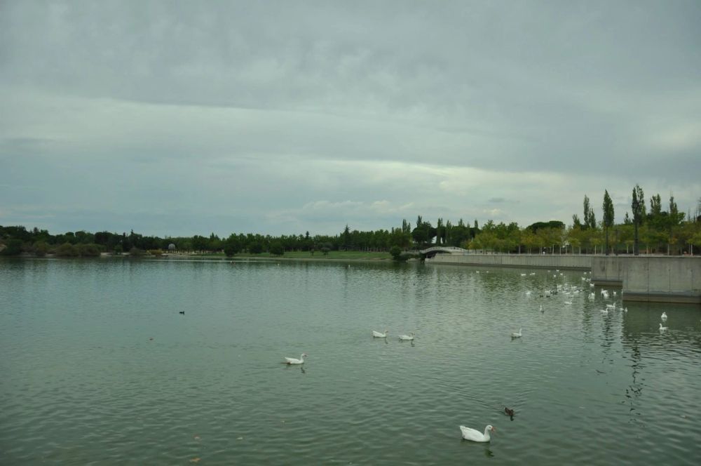 parque Polvoranca (Leganes) 30-08-2014
