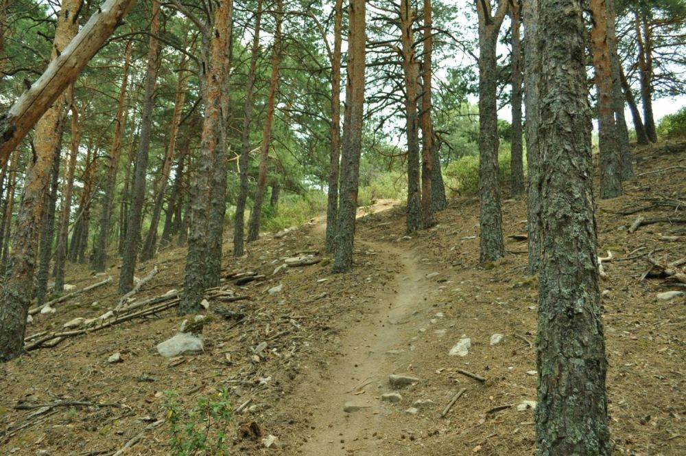 Berrecil de la sierra 10-07-2013