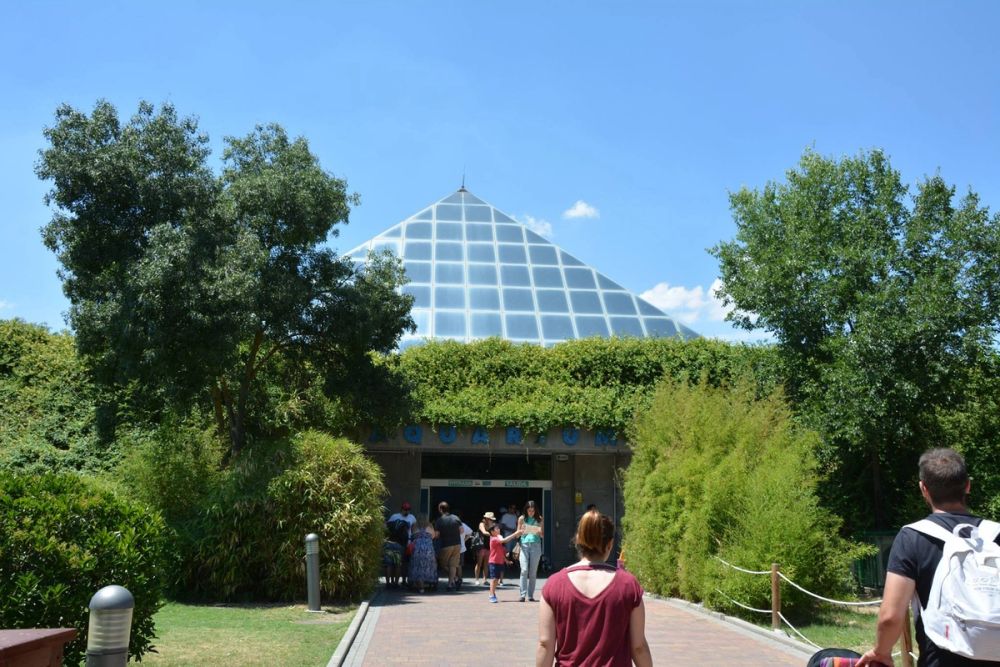 zoo 07-07-2018