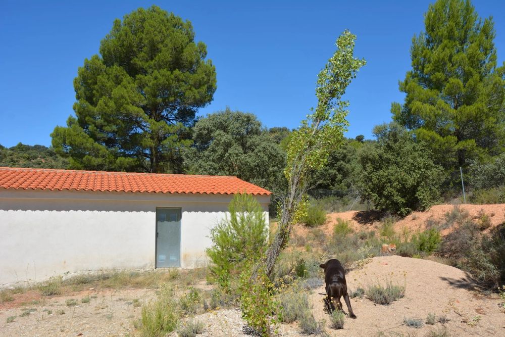 Casa Rural El Moral (Cuenca) 2020