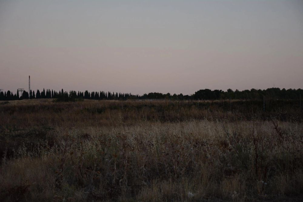 Parque Polvoranca (Leganes) 20-08-2017
