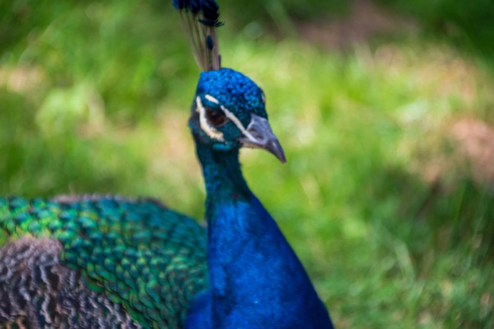 Zoo 17-08-2024