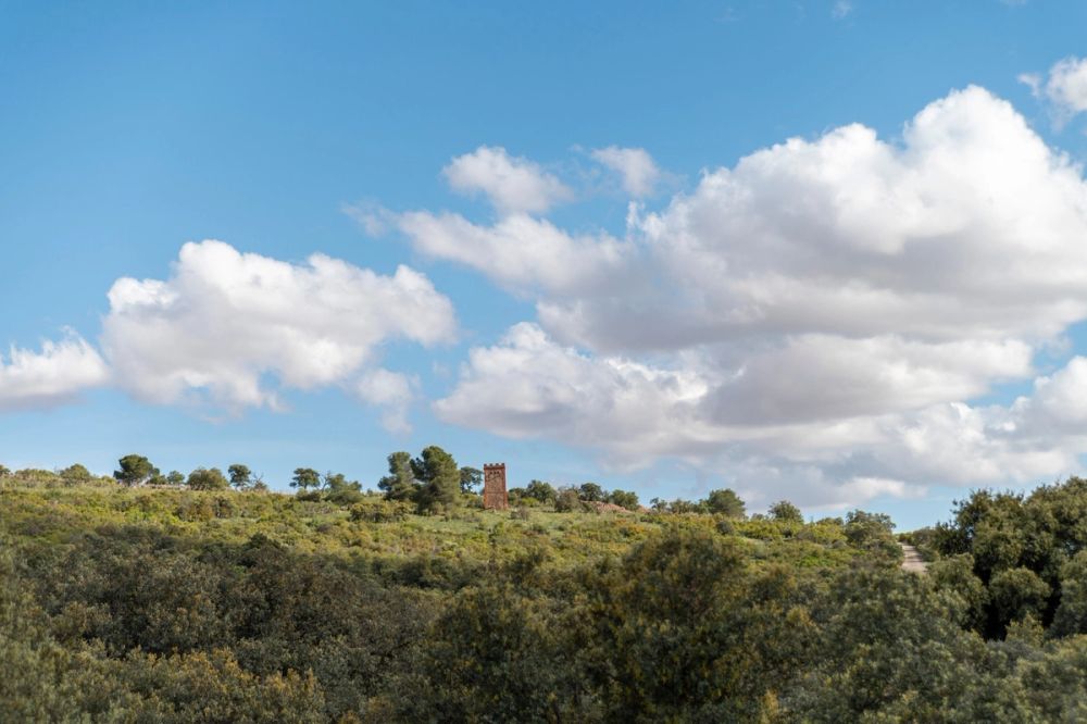Sierra de Corral de Almaguer 03-05-2025