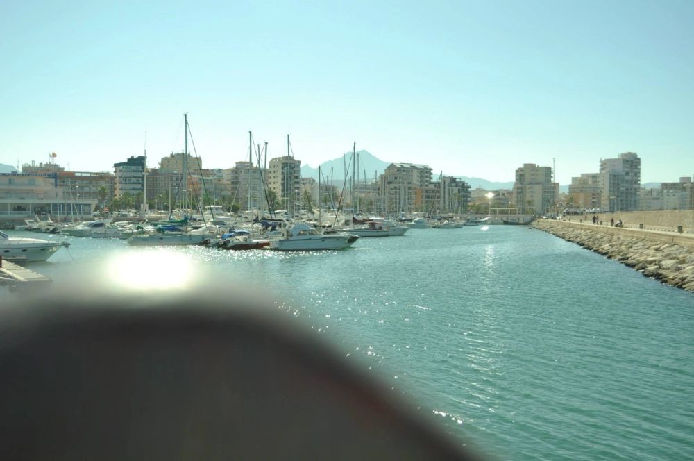Gandia 2013