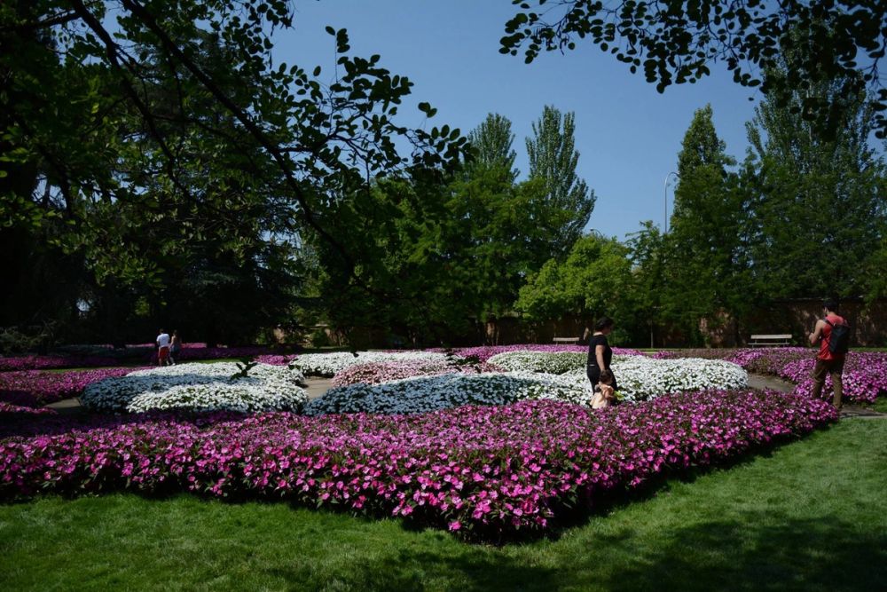 Parque de El capricho (Madrid) 2018