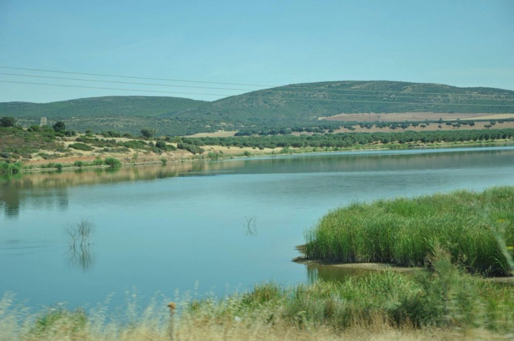 Ciudad Real 2014