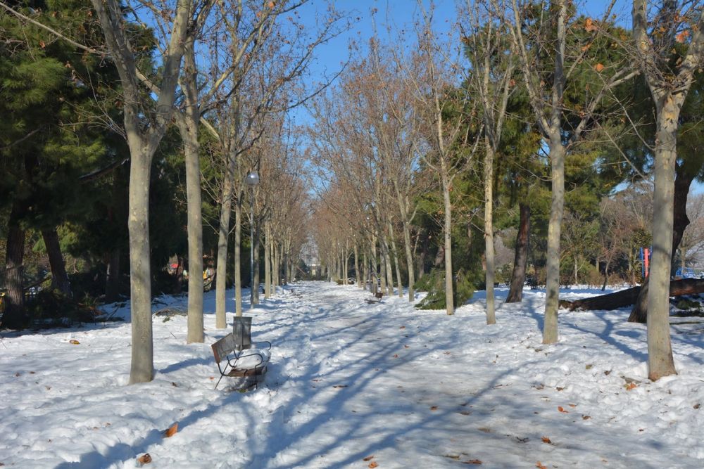 Leganes Nevado 2021 Dia 4