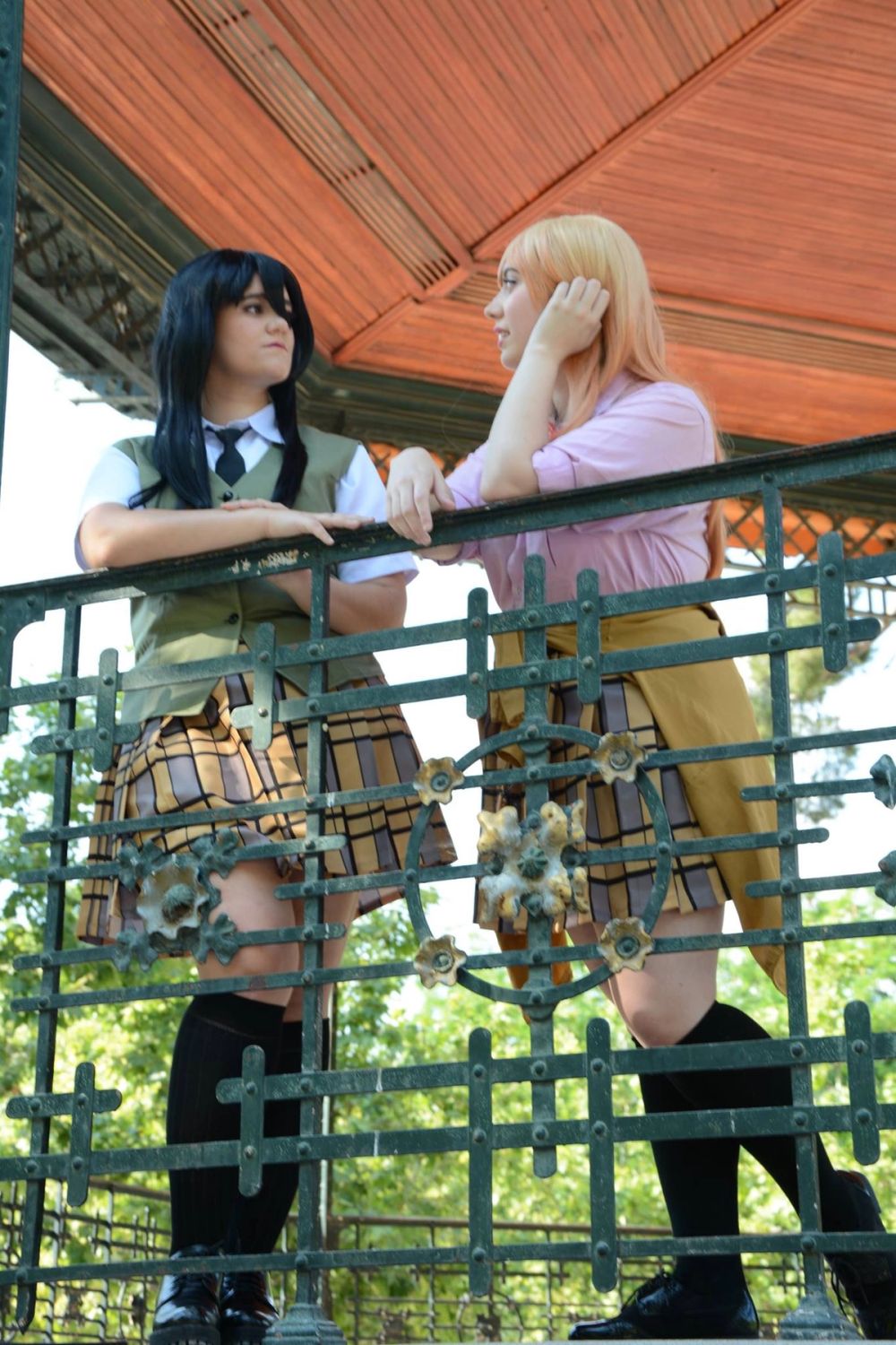Citrus 2017