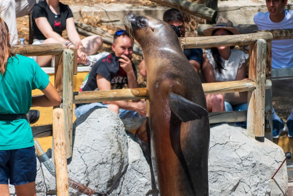 Zoo 17-08-2024