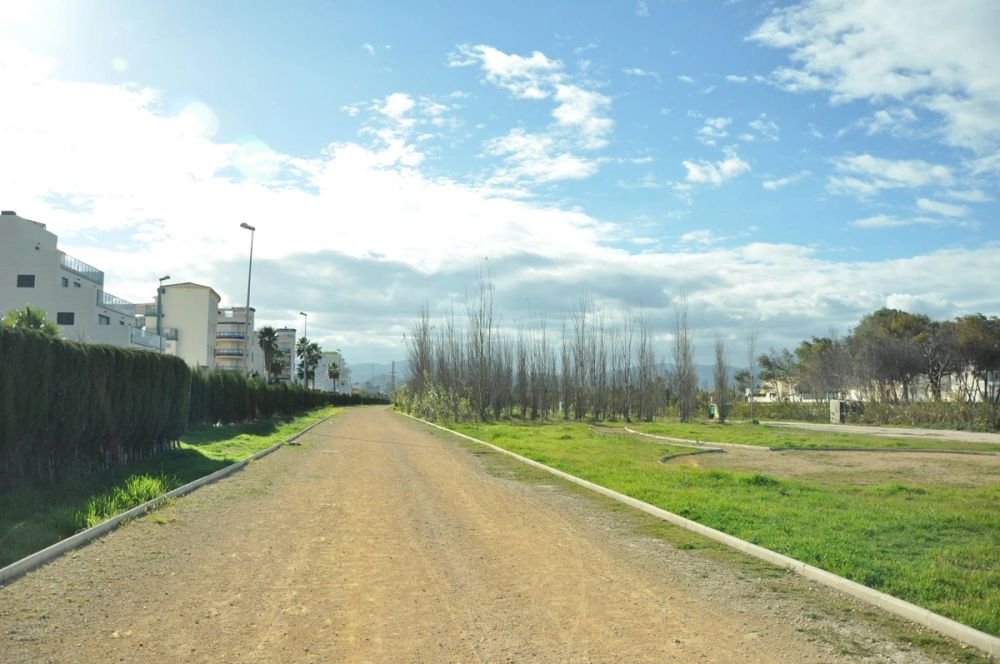 Oliva (Valencia) 15-12-2014