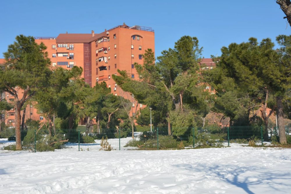 Leganes Nevado 2021 Dia 4