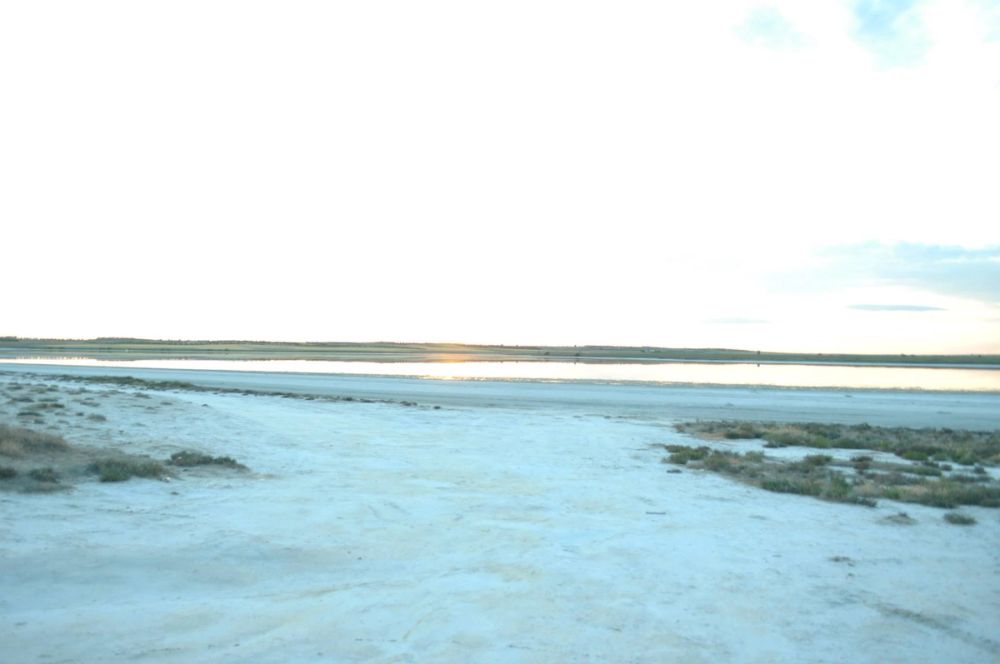 Lillo 03-06-2012