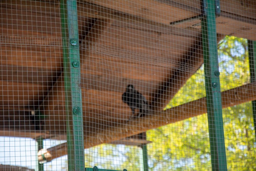 Zoo de Lillo 03-09-2022