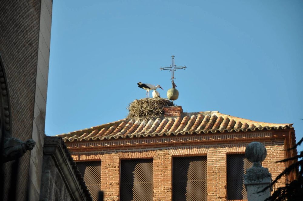Alcala De Henares 24-01-2016