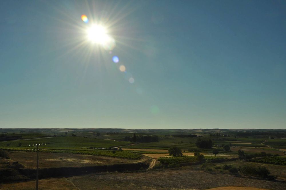 Roa del duero 2014