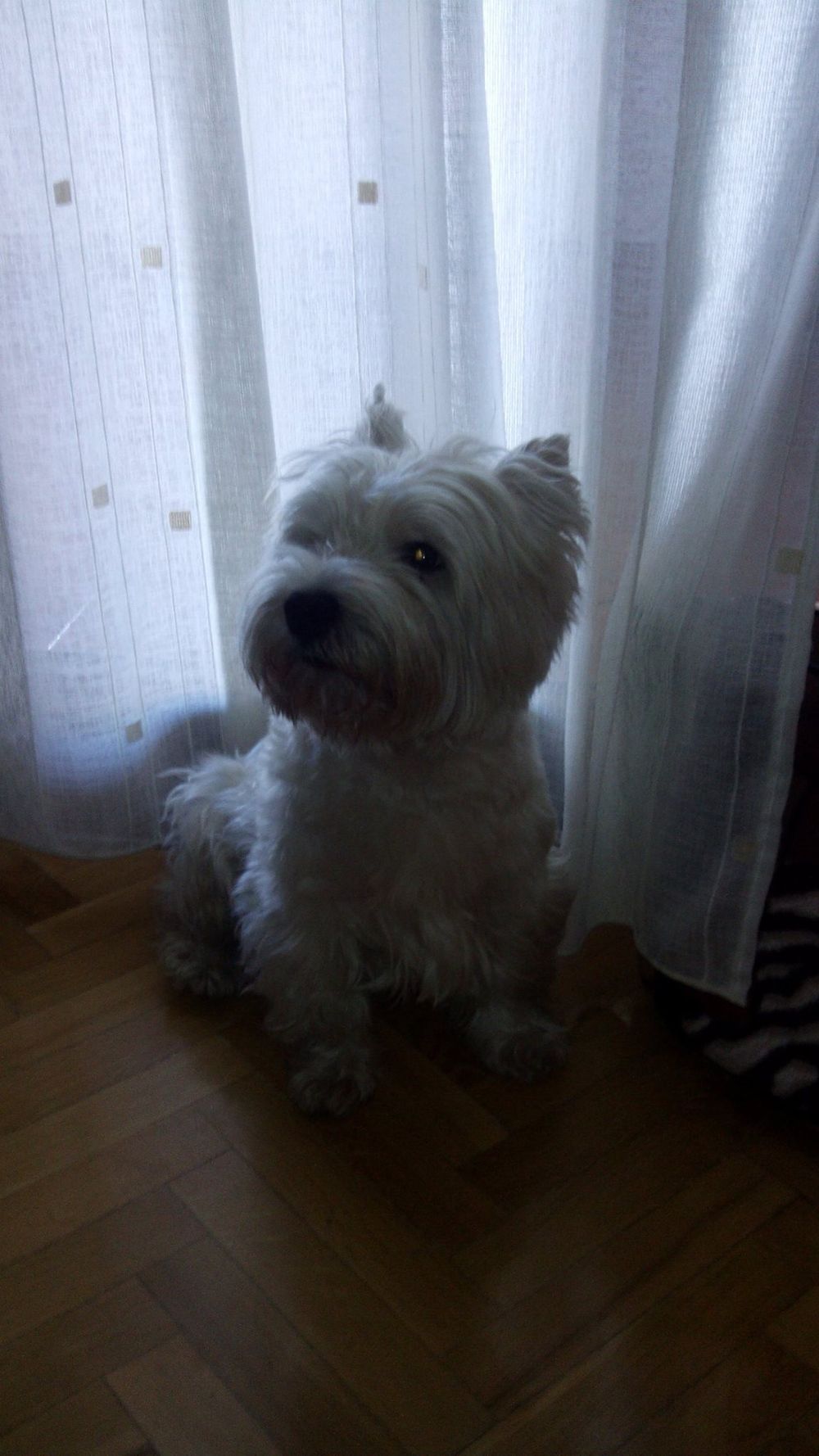 Luckky