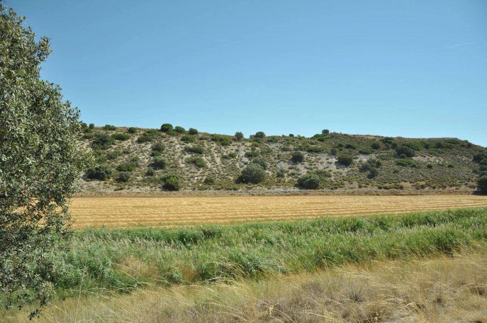 Valle de Lillo 2017