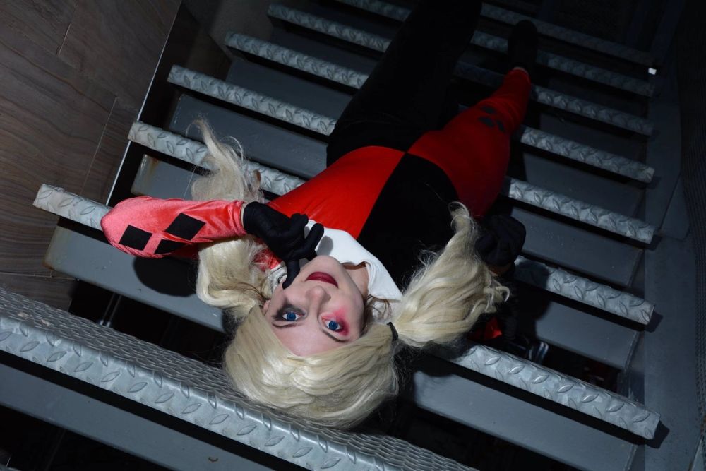 harley quinn 24-02-2019