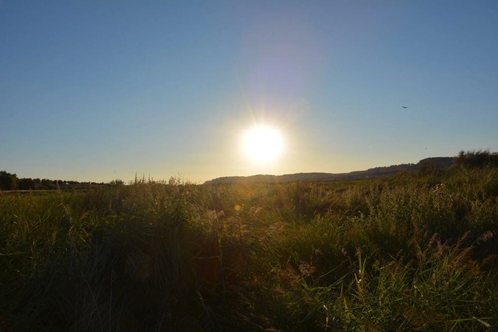 Lagunas de la guardia y Ermita del Santo Niño (La guardia) 2020