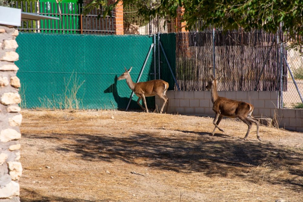 Zoo de Lillo 03-09-2022
