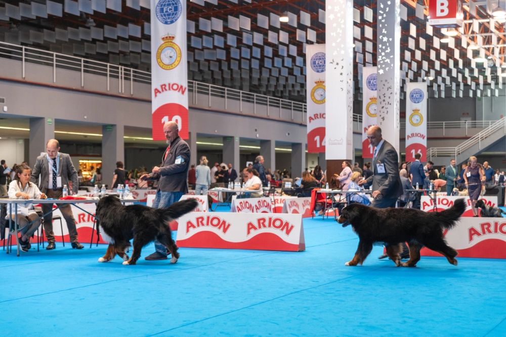Exposicion canina (ciudad real) 01-06-2024
