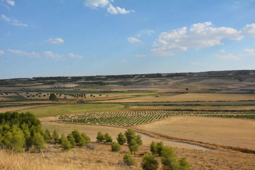 Cuevas del valle de Lillo 2020