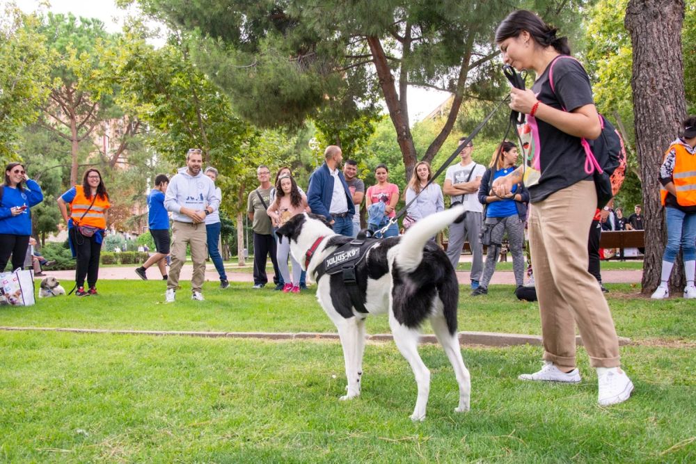 IV Ruta canina en Leganes 22-09-2019