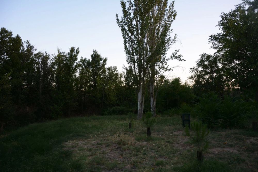 Parque Polvoranca (Leganes) 20-08-2017