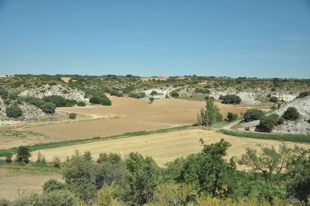 Valle de Lillo 2017