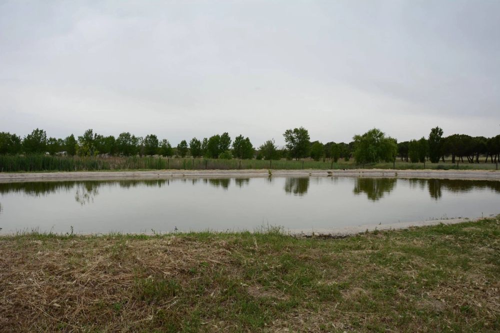 Parque polvoranca (Leganes) 10-06-2019