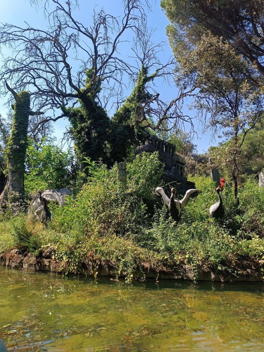 Parque de atracciones de madrid 25-07-2024