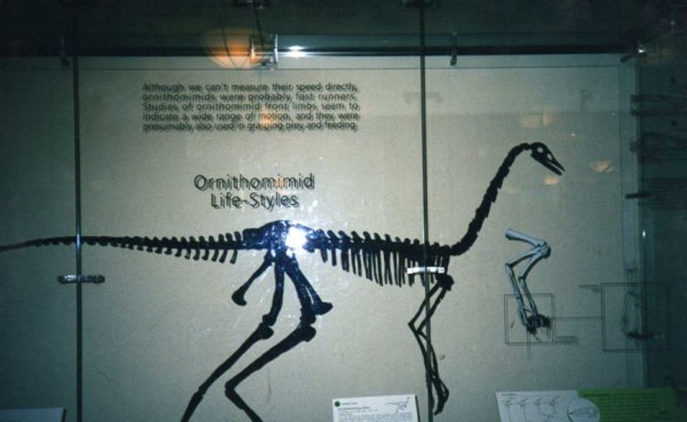 New York 2003