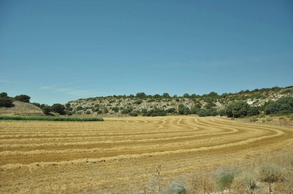 Valle de Lillo 2017