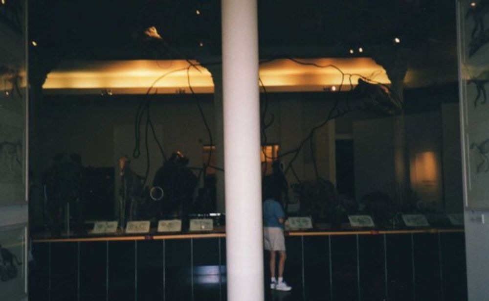 New York 2003