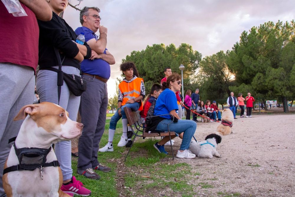 Formacion de perro policia 22-09-2019