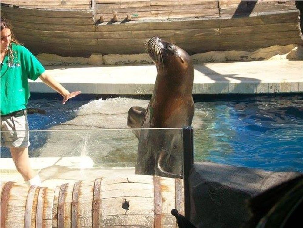 zoo 2010