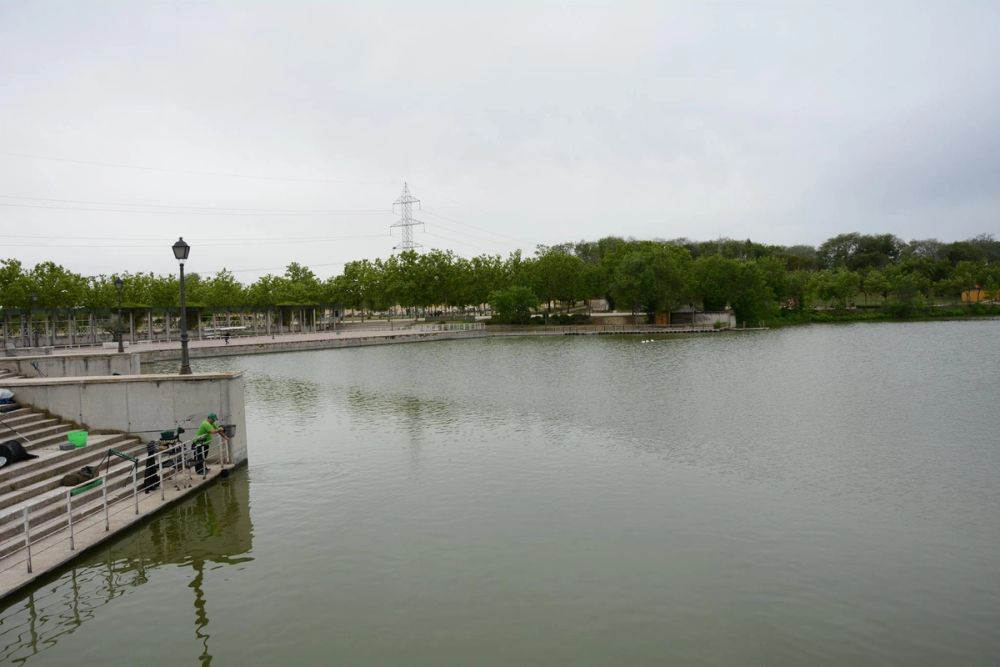 Parque polvoranca (Leganes) 10-06-2019