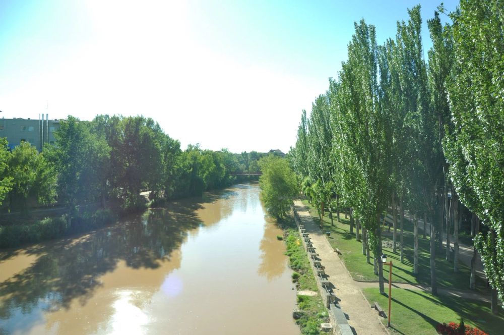 Aranda del duero 2014