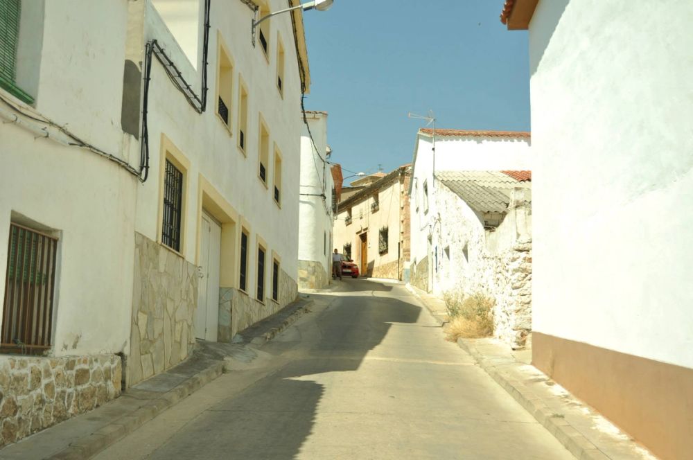 Campillo de alto buey 2013