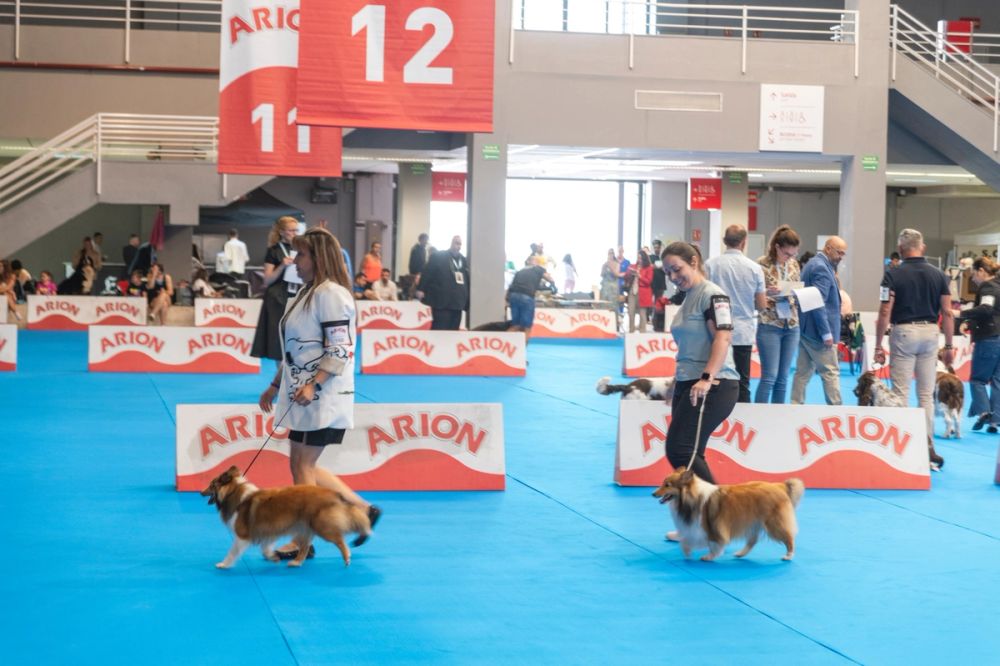 Exposicion canina (ciudad real) 01-06-2024