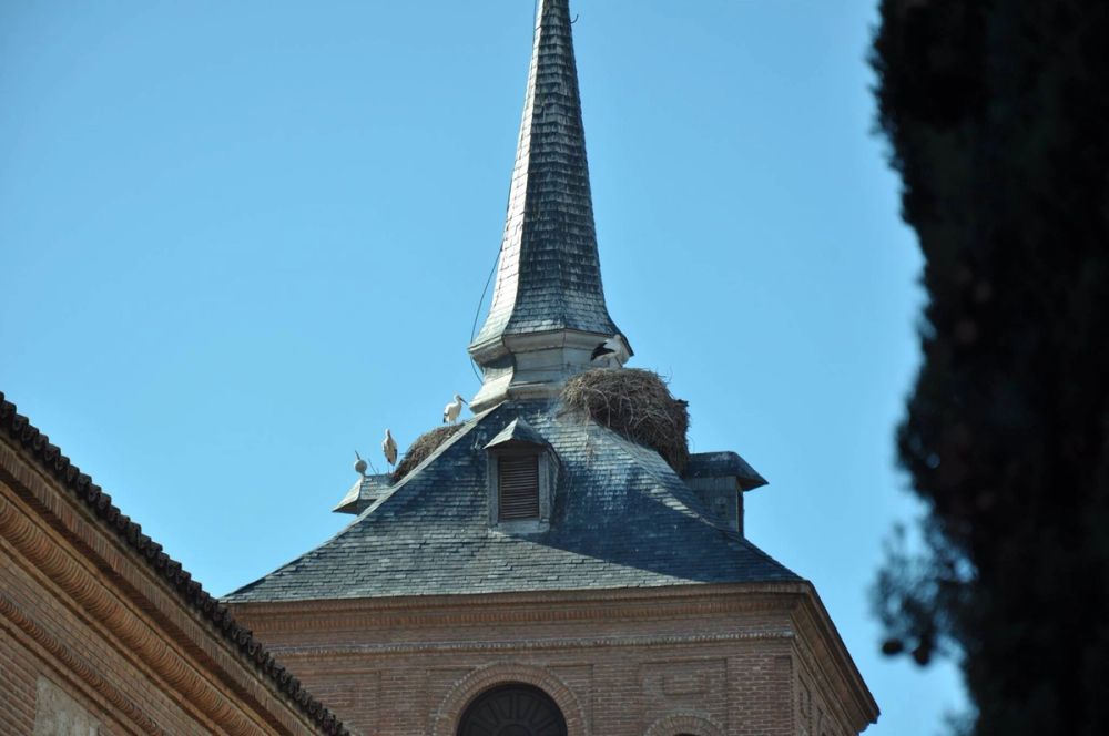Alcala De Henares 24-01-2016