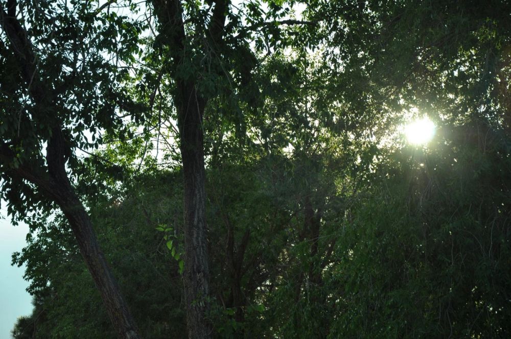 parque polvoranca (Leganes) 28-05-2015