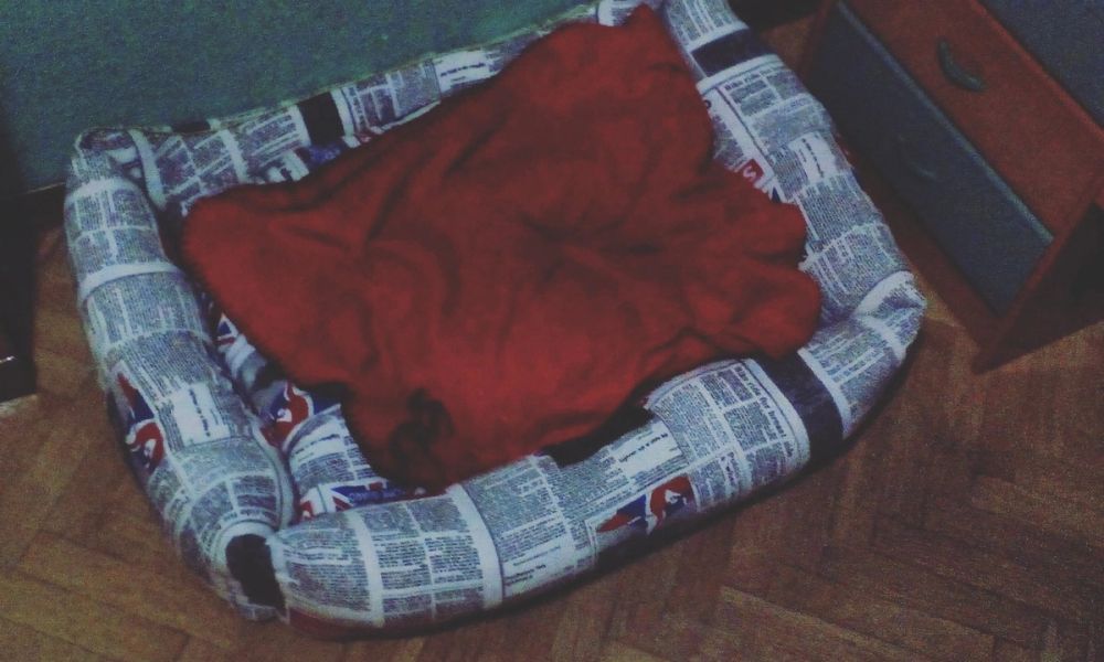 baby Conan