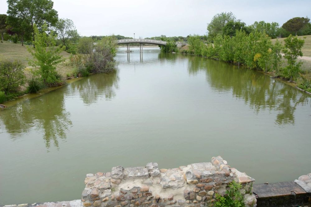Parque polvoranca (Leganes) 10-06-2019